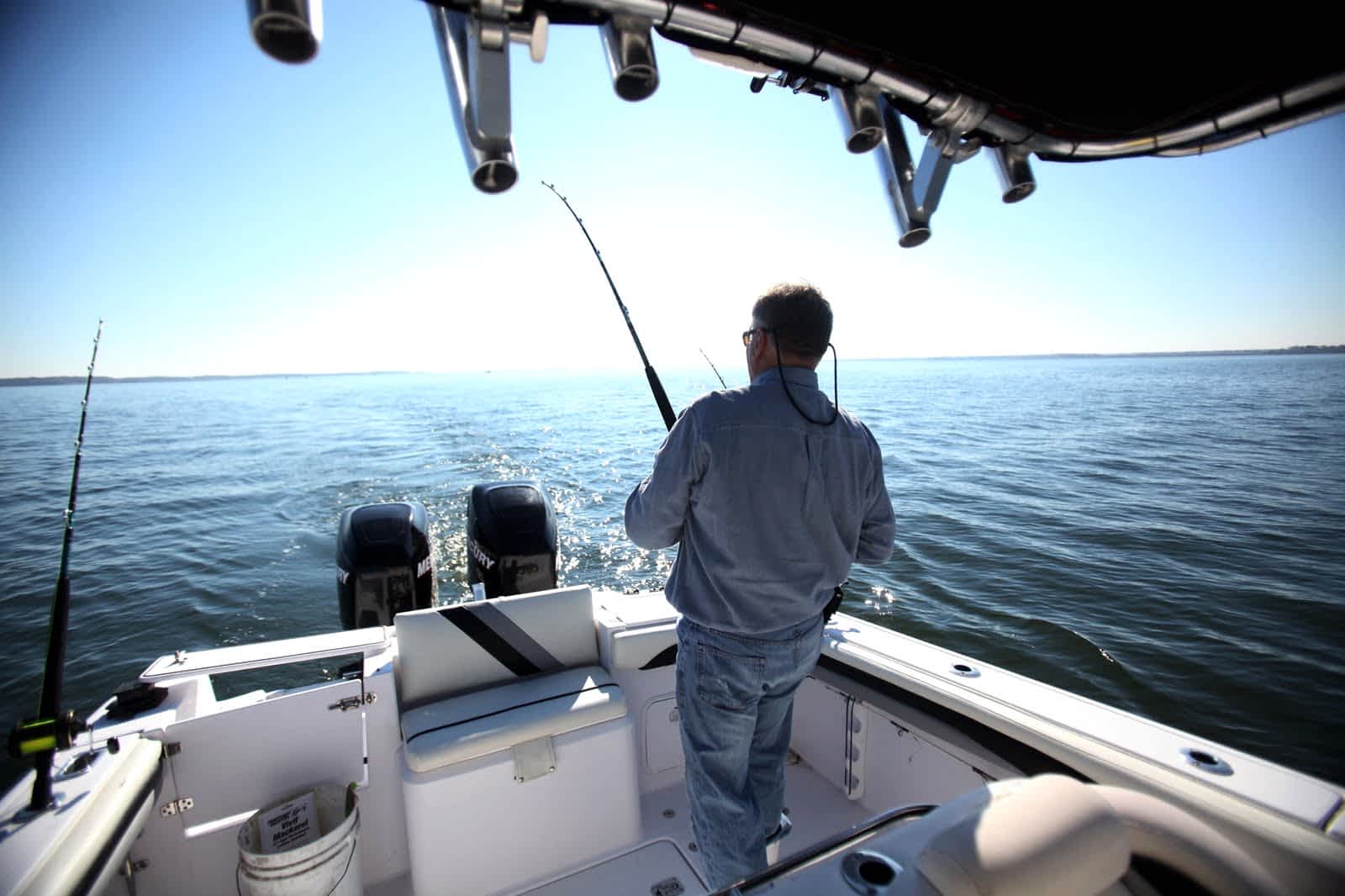 Balık Turu - İzmir, Çeşme